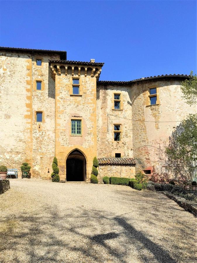 Theize Appartement Oingt - Les Meubles Des Pierres Dorees المظهر الخارجي الصورة